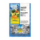 Mini Lata Mega Evolution Series Ascended Heroes 2.5 Pikachu (ING) - BR Metaverso